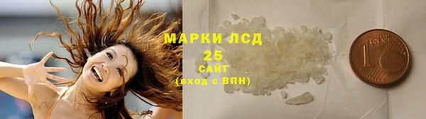 шишки Мегион