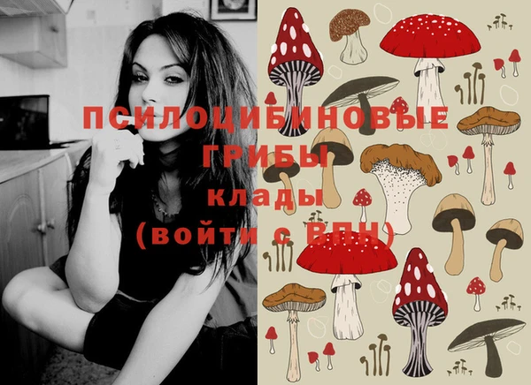 шишки Мегион