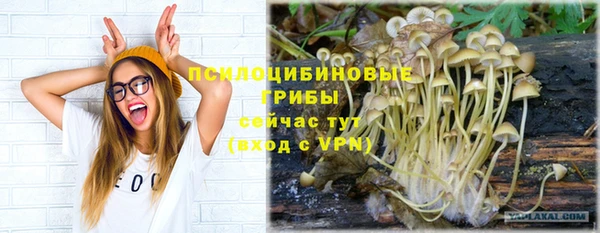 кокаин премиум Медногорск
