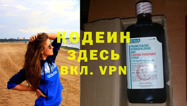 шишки Мегион